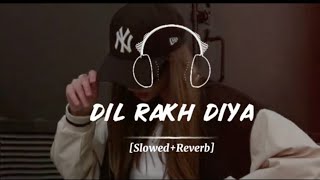 DIL RAKH DIYA Full Song Slowed And Reverb [upl. by Ylrad]