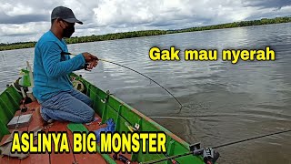 resiko mancing ultraligh dasaran muara berau  capung 702 vs big monster cat fish  daiwa legalis [upl. by Tobiah]