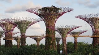 Gardens By The Bay Singapore Complete Walkthrough [upl. by Fish]