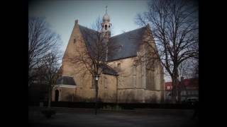 Flor Peeters Nu zijt wellekome I Mark Christiaanse  Flentrop orgel Hervormde Kerk in Yerseke [upl. by Dnalyar]