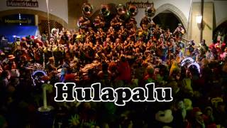 Hulapalu  Ringmurechutze  Fastnacht Murten 2017 [upl. by Worden295]