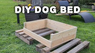 DIY Dog Bed StepByStep [upl. by Adekan995]