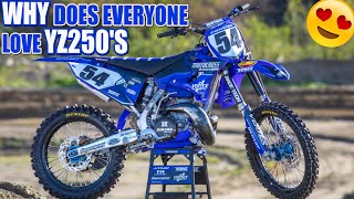 Why does everyone love Yamaha YZ250 2Stokes [upl. by Riddle]