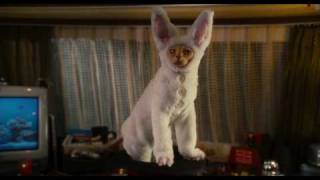 Como Cães e Gatos 2 A Vingança de Kitty Galore  Trailer Final legendado HD [upl. by Aronow]