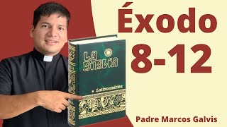 LECTURA DE BIBLIA Exodo Cap 812 📖 con el padre Marcos Galvis [upl. by Mcguire757]