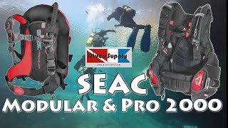 Seac Pro 2000 and Modular BCDs  A Hybrid and a Backplate and Wing [upl. by Htide]