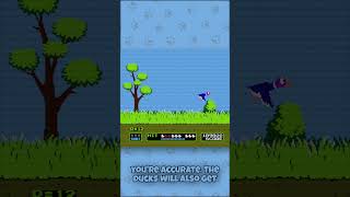 Ranking EVERY Nintendo Game 14  Duck Hunt NESFamicom [upl. by Munroe]