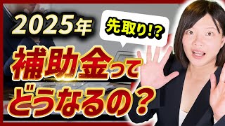 【補助金】2025年度の補助金ってどうなるの？ [upl. by Bledsoe968]