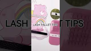 What’s the function of different lash pallets How to properly use it🤔lashsupplies lashtips [upl. by Onailil]