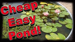 How To Make A Container Pond  Stock Tank Pond  Solar Powered [upl. by Schrader376]