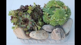 DIY MIniSteingarten als Deko für Garten und Balkon MIni Stone garden as decoration for balcony [upl. by Storm833]