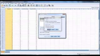 Correlation in SPSS [upl. by Sinylg]