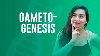 Todo sobre la Gametogénesis  YOUTUBER CPECH BIOLOGÍA [upl. by Semreh212]