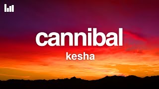 Kesha  Cannibal Lyrics [upl. by Simons]