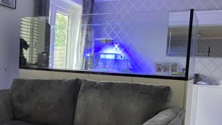 Waterbox peninsula 7225 860L reef aquarium build Ep1 Aquascape [upl. by Sydelle]