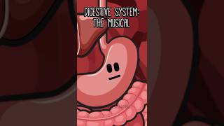 Digestive System The Musical [upl. by Winnifred]