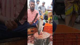 Amazing Great Delicious Pangas Fish Cutting Techniques  Fish Cutting Skills [upl. by Dettmer]