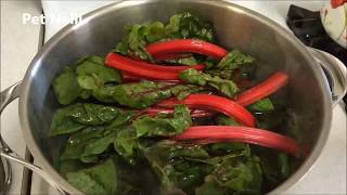 Sauteed Swiss Chard recipe  Simple and Tasty Swiss Chard Recipe [upl. by Crofoot]