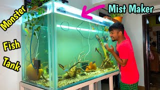 5ft Cichlids Collection Monster Fish Tank🤩🔥😘  Huge Fish Tank  Cichlid Fish Tank  Aquarium [upl. by Puduns]