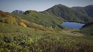 La foresta pluviale della Georgia un patrimonio da conservare [upl. by Germaine669]