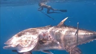 spearfishing selayar edisi taka bajangan [upl. by Enaid]