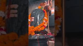 Mahadev status🕉️ Shivaya 🏵️🌺Tere Bina nhi Koi mera oh Shiva🌹song by Diljit Dosanjh and Jaani [upl. by Eveleen]