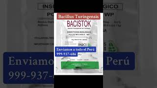 Bacillus Turingensis Insecticida orgánico envíos a todo el Perú 999937686 ￼ [upl. by Sophi]