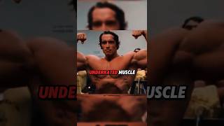 Arnold Schwarzeneggers MOST UNDERRATED MUSCLE arnoldschwarzenegger bodybuilding [upl. by Nyleek]