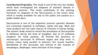 Macroscopic and Microscopic Studies on Sarcocystis Infection in Buffaloes Public Health Alert AR 2 [upl. by Darsey]