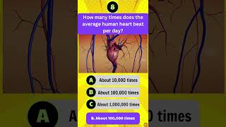 How many times does the average human heart beat per day [upl. by Caprice453]