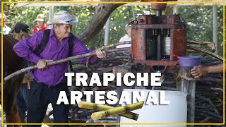 TRAPICHE ARTESANAL HACIENDO DULCE DE PANELA [upl. by Sanford]