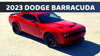 2025 Dodge Barracuda  New Pricing Release Date Reviews [upl. by Sissel]