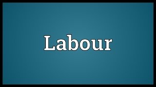 Labour Meaning [upl. by Einoj601]