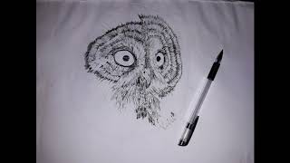 Puszczyk mszarny  Great grey owl rysunekdrawing [upl. by Nyrak]