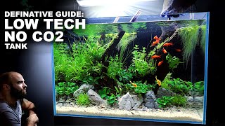 Definitive Guide Low Tech Low Budget No CO2 Detailed Aquascape Tutorial w Albino Cherry Barbs [upl. by Johansen]