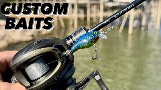 Tiny CUSTOM Baits DIRT Shallow For BIG Bass Fort Worth BFS Angling [upl. by Yltsew633]