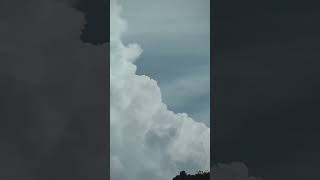 horse clouds sky algorithm recommended youtubeshorts youtube shorts [upl. by Amalle]