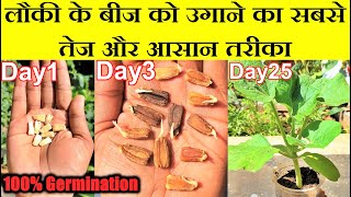 लौकी को बीज से उगाने का सबसे तेज तरीका सीखिए  Fastest Method of Bottle Gourd Seed Germination [upl. by Aisek]