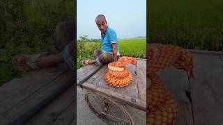 Essential Snake Prank with Grandpa shorts [upl. by Junina]