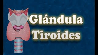 Glándula tiroides [upl. by Laufer4]