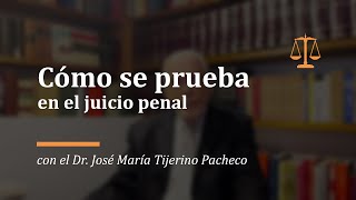 Cómo se prueba en el juicio penal [upl. by Tennos]