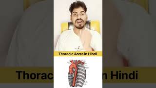 Thoracic Aorta In Hindi quiz anatomy [upl. by Mcroberts]