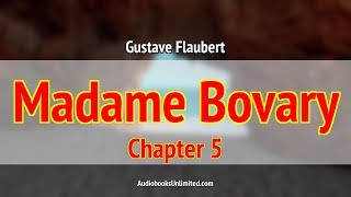 Madame Bovary Audiobook Chapter 5 with subtitles [upl. by Ognimod]