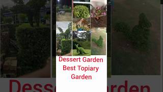 Topiary plant Beautiful Garden [upl. by Othilia398]