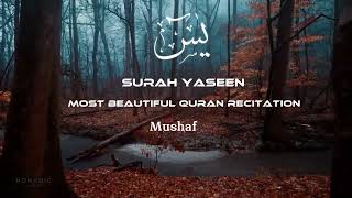 Surah yaseen  Heart touching recitation Beautiful voice Abdul rahman mossad [upl. by Aggappera]