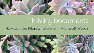 Thriving Documents  How can the Pilcrow help me in Microsoft Word [upl. by Lauralee]