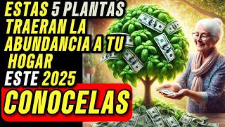 5 HIERBAS QUE DEBERIAS TENER EN TU CASA ESTE 2025 [upl. by Adnuhsar]