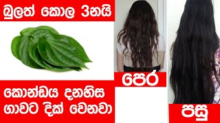 දවස් 7න් කොන්ඩය දනහිස ගාවට දික්වෙනවා  hair growth oil recipe  Ayurveda  Sri lanka [upl. by Garnette]