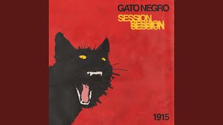 Fuera de Lugar Gato Negro Session [upl. by Adnauqal880]