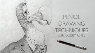 Pencil Drawing Techniques [upl. by Aneloaup]